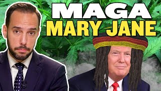 Is Trump About to Legalize Weed?!