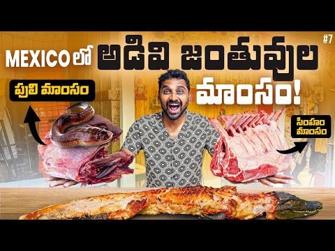 Extoic Street Food In Mexico 🇲🇽 | Uma Telugu Traveller