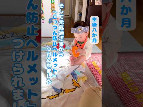 おもちゃでガンガンやってみた【241210】生後8か月