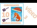 Compreensão do Vídeo: O Cavalo e a Natação
