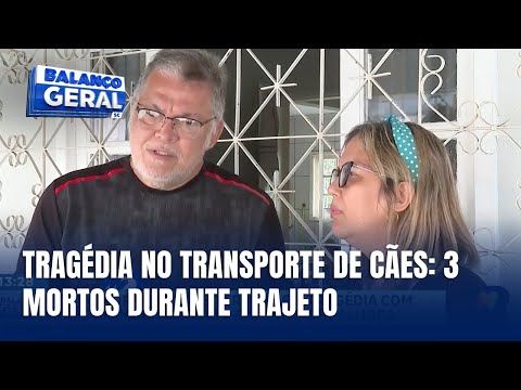 Cães morrem em transporte terrestre de R$ 10 mil: casal busca justiça