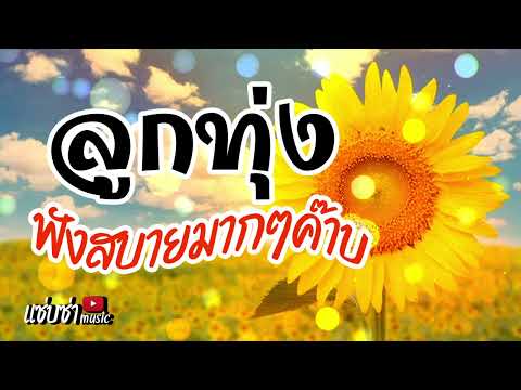 เพลงลูกทุ่งฟังสบายมากๆค๊าบ