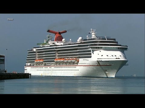 Nearly two dozen family members kicked off cruise after brawl with security