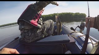 видео