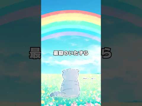 猫の動画サムネイル - 【閲覧注意】最期のいたずらに涙😢 #猫 #感動 #漫画動画