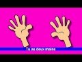 Body Parts and Their Functions