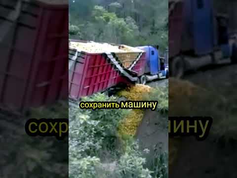 Сбросил груз😜