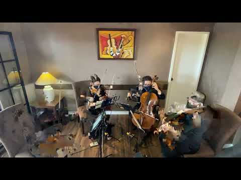 Waltz for the Moon (Nobuo Uematsu) from FInal Fantasy VIII cover by The Manila String Machine