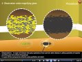Chemical Reactions of Iron and Sulfur