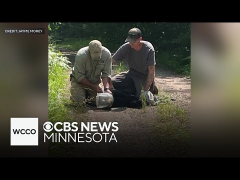 YouTube video thumbnail: Wisconsin Wildlife Officials Detail Race to Rescue Bear With jar on its Head
