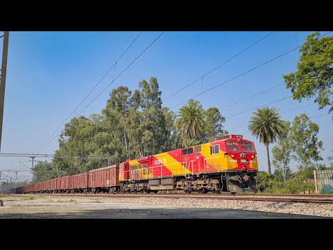 Melodious Tracks + Diesel Hum WDG-4G Freight 🎶🎧