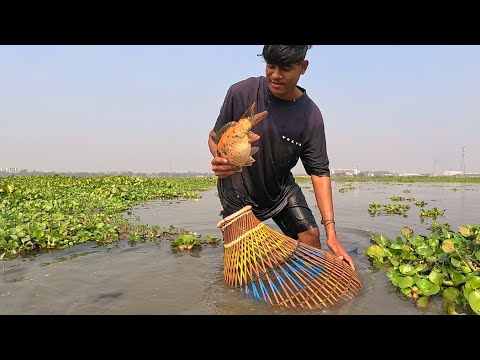 Polo Fishing| Amazing Boy Big Fish Hunting By Bamboo Tools Polo|