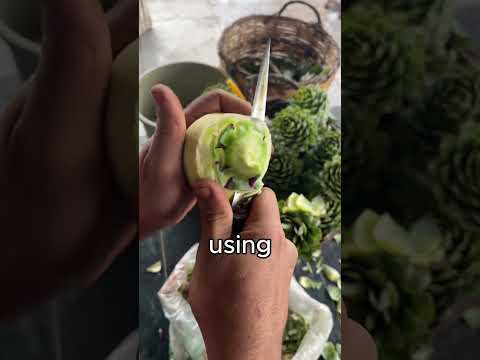 How Artichoke is Prepared (@dmkpmcht)