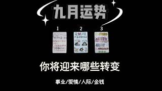 【Ivy塔羅】你的生活九月份会出现哪些变化｜塔羅占卜｜神諭卡｜雷諾曼｜歐卡 Oh Cards｜占星骰子  #大眾占卜
