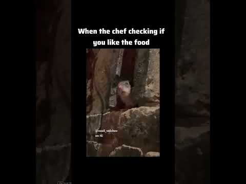 #chotaalivlogs