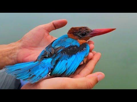 Không tiêu đề!