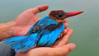 Không tiêu đề!