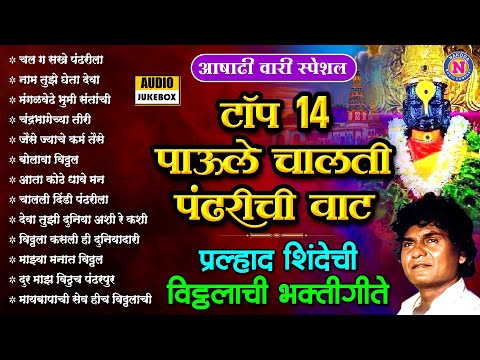 आषाढी वारी स्पेशल |टॉप 14 पाऊले चालती पंढरीची वाट | प्रल्हाद शिंदे ची विठ्ठलाची गाणी | Vitthal Songs