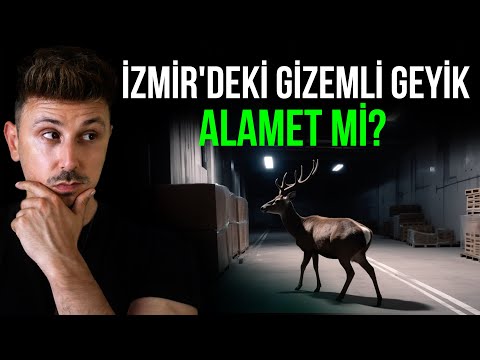 TUHAF ŞEYLER OLUYOR! İZMİR'DEKİ GİZEMLİ GEYİK BİR ALAMET Mİ?