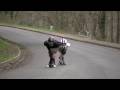 MotionBoardshop