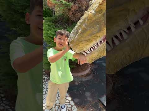Dinozor Isırdı Sandık… Ama Sonrası Sürpriz! 🦖