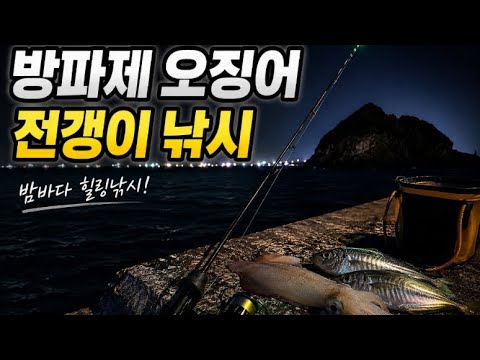 <strong>방파제</strong> 오징어 전갱이 고등어 낚시