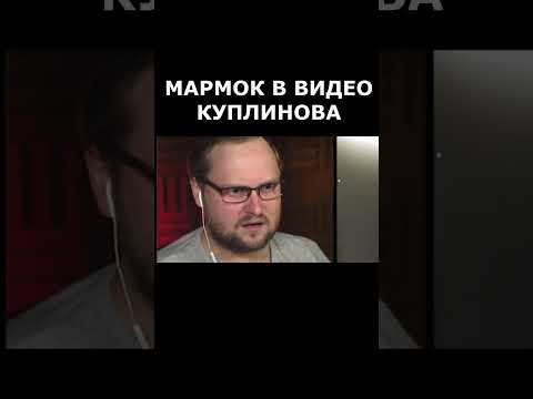 МАРМОК В ВИДЕО КУПЛИНОВА