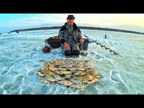 О ТАКОЙ РЫБАЛКЕ МЕЧТАЕТ КАЖДЫЙ. РЫБАЛКА НА БЕЗМОТЫЛКУ