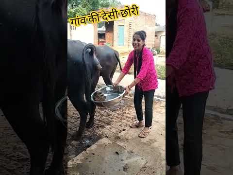 🤔🤔🤔धीरे धीरे नाच नाच #शॉर्ट वायरल फनी कॉमेडी वीडियो 🤫🤫🤫🤪🤪🤪🫢🫢🫢😜😜😜😂🤣😂🤣😂🤣😂🤣👍👍👍👍👏👏👏👏🙏🙏🙏🙏