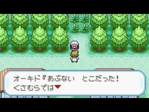 ポケモンをもらわずに旅に出た結果