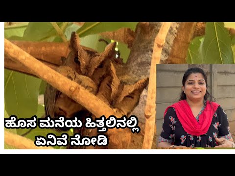 ಒಳ್ಳೆಯದ ಇಲ್ಲವಾ? ಗೊತ್ತಿಲ್ಲಾ ನೀವೆ ನೋಡಿ/ಹೊಸ ಮನೆ ಸಣ್ಣ ಅಪ್ಡೇಟ್/Is it good or bad? Don’t know! New update