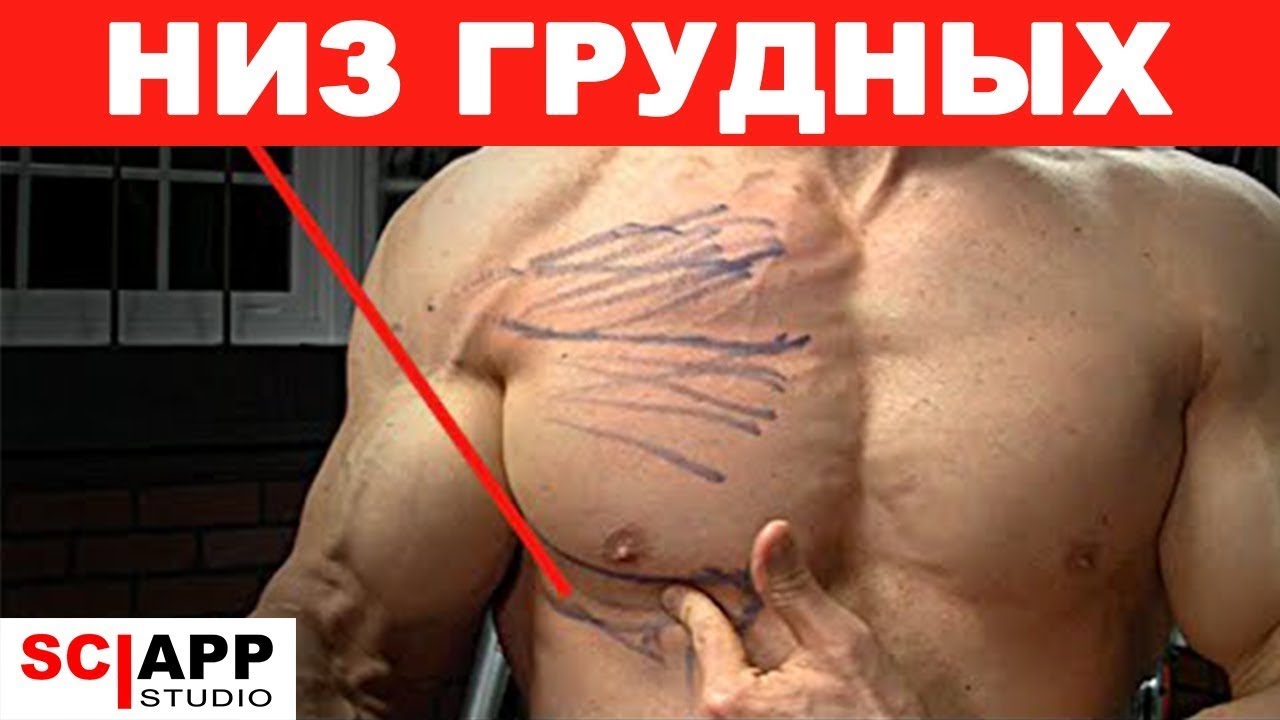 Как Действительно Проработать Низ Грудных. Упражнение
