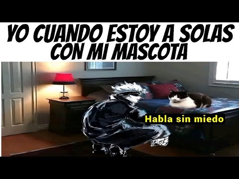 MEMES VARIADOS #694 | MEMES CON MUCHO SENTIDO | ANZUTOPS777