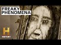 Unusual Phenomena and Perceptions