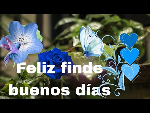 ☕️💙BUENOS DIAS !Saluditos👋🙏🏻🦋