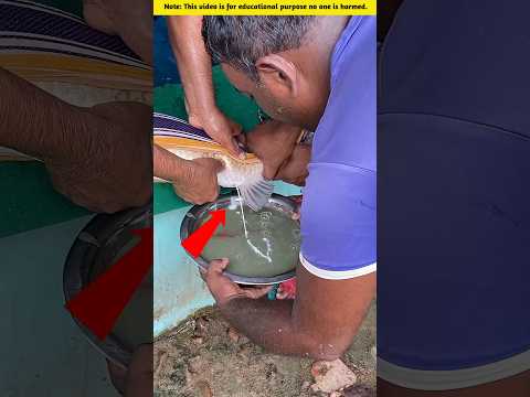 #truedialogue #facts #amazingfacts