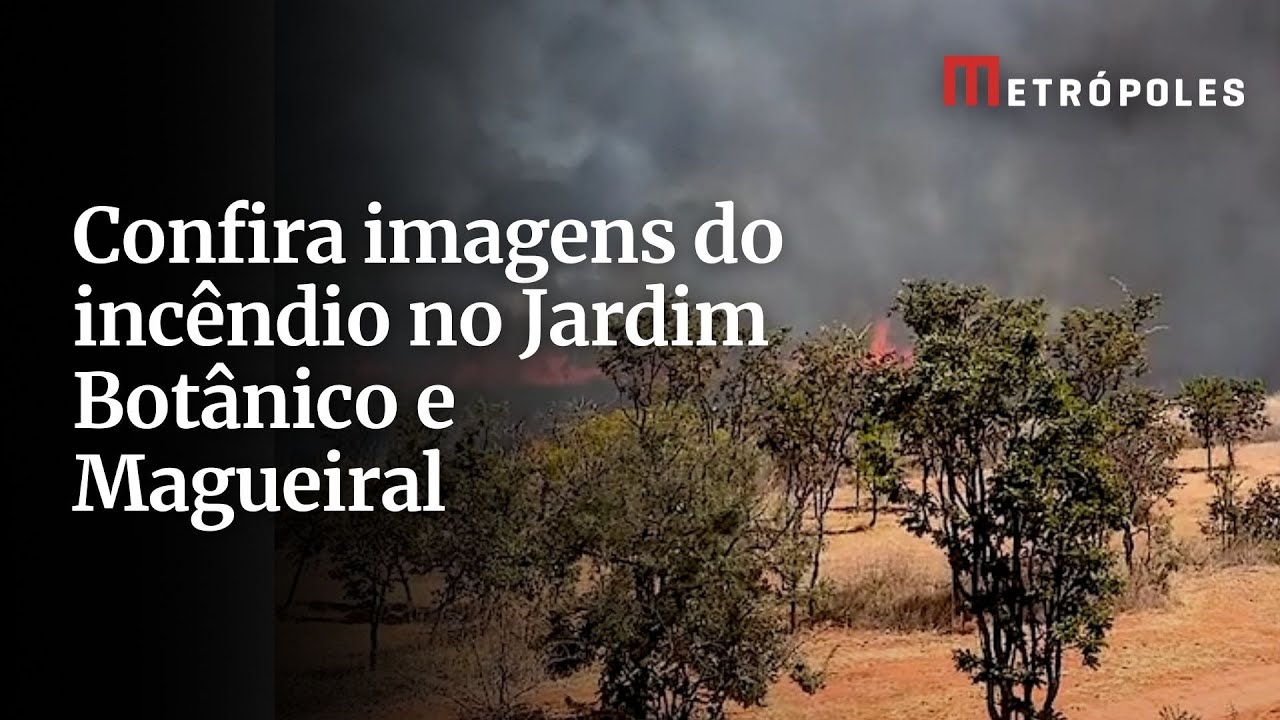 Confira imagens do incêndio no Jardim Botânico e Magueiral