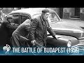 Hungarian Revolution: Key Events and Outcomes