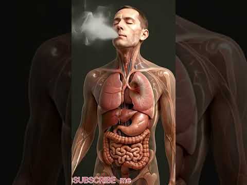 #no#samoking#in#human#vidios#youtube #trendingshorts #subescribe #me##3d#vidios#vidioviral #🥂