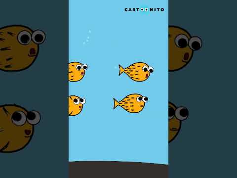 Yeni Televizyon! 🎵 🌊  🦀 #Clawlolo #cartoonito #ÇocukŞarkıları