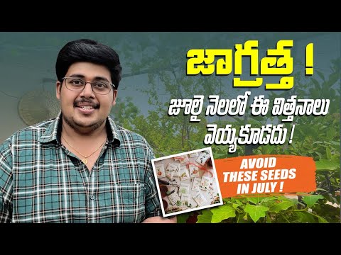 పొరబాటున కూడా జూలై లో ఈ విత్తనాలు వెయ్యకండి - Avoid These seeds in July @OrganicPrabha