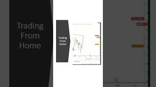 Best starter stocks and best options to buy trading from home