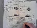 Genetics Concepts and Applications