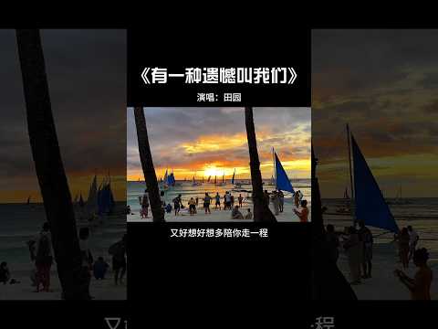 舍不得你,又和你结不了婚 #音樂 #音乐 #翻唱