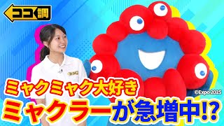 【ココ調見逃し配信】「万博まだ行ってない」でもミャクミャク大好き”ミャクラー”急増中！サンリオとのコラボグッズまで😳