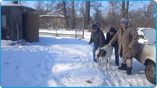 видео