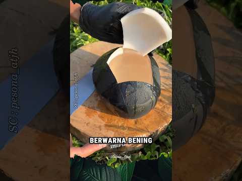 Kelapa Hitam dalam nya Tetap Bening #shorts #panen #buah #kelapa