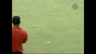 Tiger Woods get apple thrown at him