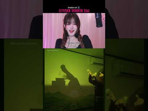 그림자로 보여주는 예술.🧑‍🍳shadowdance reaction #shadowart #reaction #harutv