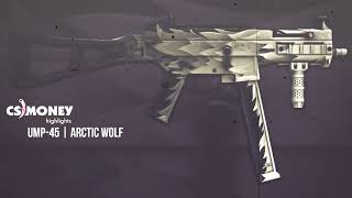 UMP-45 Arctic Wolf Gameplay